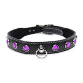 Royal Vixen Leather Choker with Rhinestones - Purple